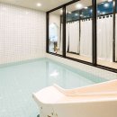 스테이 도토리 이미지