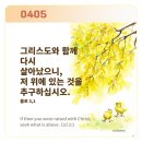 주님과함께 Daum카페
