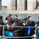 행복한해적 이미지