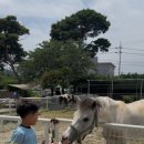 대경목장 이미지