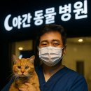 백산메디칼 이미지