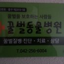 꿀벌 동물병원 이미지