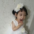 체리피피