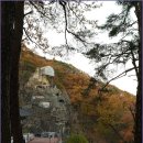 추원모차골 이미지