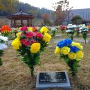 사릉로156번길1 이미지