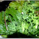 화 농장 이미지