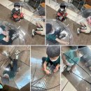 호기심 톡톡과학교실 이미지