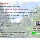 서율이네귤