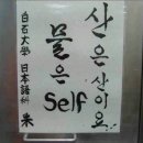 노마 이미지