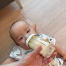 대지이발 네이버블로그