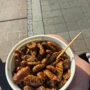 모란5일장 | 성남 모란시장 5일장 평일 방문 후기 (주차, 호떡, 도너츠, 돼지부속)