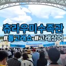 쇼에 | 오키나와 츄라우미 수족관 돌고래쇼 시간 관람 후기