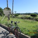 신진대교아래 안흥항 이미지