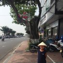 김상궁과 양씨 세 남자의 베트남 정복기 다섯째날 / 다낭시내구경 콩카페 분짜 대성당 빈컴몰 (8탄)