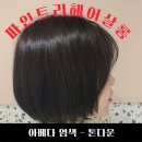 서대문역미용실 파인트리 헤어살롱 예원디자이너 톤다운 아베다염색 후기