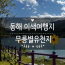 유천매표소자판기 | 동해 여행 놀거리 무릉별유천지 주차 비용 시멘트 아이스크림 후기
