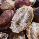 삼성정다운약국 이미지