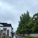 덕진-61 | 전주 한옥마을 맛집 왱이콩나물국밥 내돈내산 후기