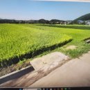 정동진 공인중개사사무소 이미지