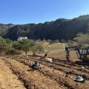 하준농장 이미지