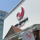 건강한고래