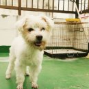 옹기종기 이미지