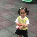 아이슐레어린이집 | 놀이학교 아이슐레 창동원 적응기