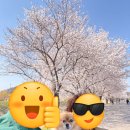 양평칼국수만두 | 맛집] 양평 5일장 근처 드라이브 맛집ㅣ명인칼국수&amp;만두 양평점 방문 후기 (feat.양평산수유한우축제🌸)