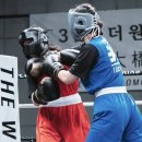 이엑스 복싱(EX BOXING) 이미지