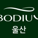 바디움 네이버블로그