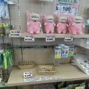 굳오일터널세차장 | 다카마쓰여행 3일차 쇼도시마 반나절 / 올리브공원 가는 법