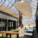 신샘밭로2 이미지