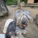 김삿갓면-23 | 다시 찿은 강원도 영월 히어리 캠핑장 여름휴가_2025.08.06-08.09(3박4일)