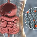 우리수내과의원 이미지