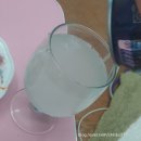 순하리 레몬진 캔(도수 4.5) 과실주 완전 추천!과일소주 칼로리 가격