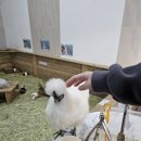 장터노래연습장 이미지