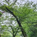 해남여행 1박2일 시티투어 네이버블로그