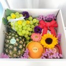 소답동162 | 창원 마산 첫인사선물 기념일선물 승진선물 축하선물 달고담 과일상자