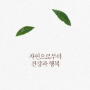 마임 동부지사