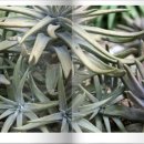 명지농원 이미지