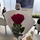 (유)신화모터스 | [여성의 날 행사 후기🌹]재미있는 작가생애와 미술 이야기/볼보 레이디스데이🚙 Volvo😊자동차 디자인 성능...