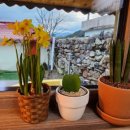 하동호호스테이 이미지