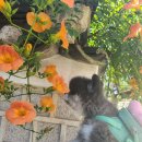 펫크닉 | 서울공예박물관 펫크닉 후기 [반려견 장난감 만들기]