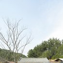 생활 도자기(야간) Daum카페