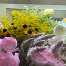 바우약국 | [파주,금촌,꽃집]내돈내산 &#34;월화원&#34; 인형키링꽃다발 솔직후기 !!