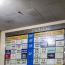 네일수아담