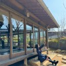 군산여행 군산 카페 고우당 초원사진관 신흥동 일본식가옥 동국사 뚜벅이 여행 코스