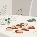 유럽 건강식 문화 속 브라질너트 활용법