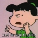 가시섬초 해초사랑 | <스시리카이 디너🍣> 내 첫 오마카세 ⭐️솔직 후기⭐️