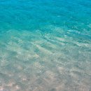 스마트폰과 포토샵활용 이미지